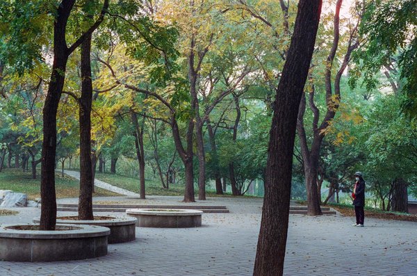 Découvrez les services de soins à domicile adaptés à vos besoins