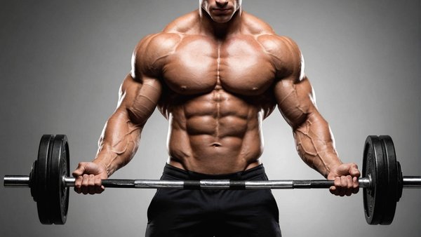 L'importance de la leucine en musculation